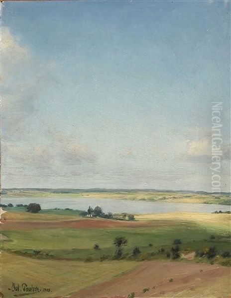 Danish Summer Landscape - view 1