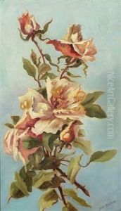 Rose Rose