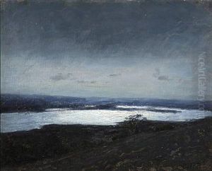 Maaneskin Salten Langso by Julius Paulsen