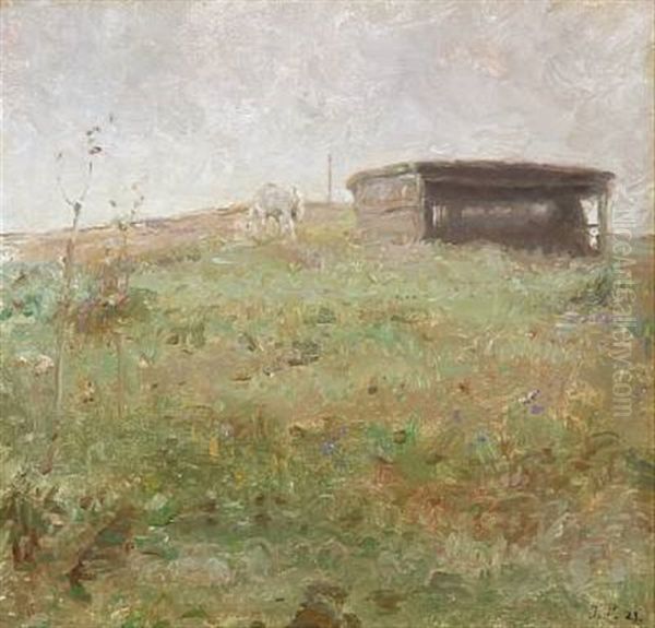 Field Scape With A Shet - view 1