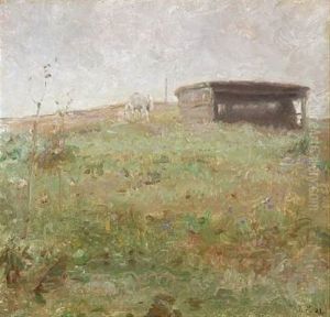 Field Scape With A Shet Field Scape With A Shet