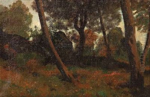 Forest Scene From Bornholm, Denmark - view 1
