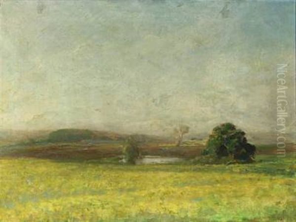 Hazy Landscape - view 1