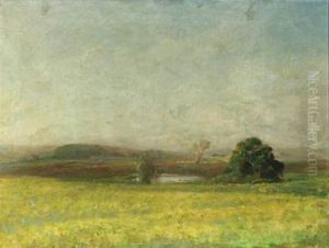 Hazy Landscape