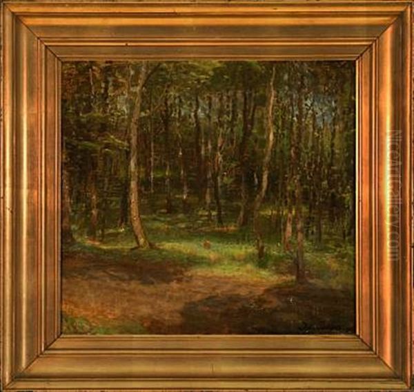 Spring Day In Skagen Plantation, Denmark - view 1
