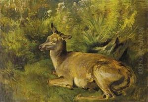 Ruhende Hirschkuh by Franz Xaver von Pausinger