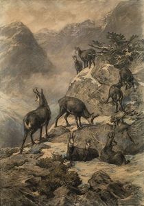 Chamois In The High Mountains by Franz Xaver von Pausinger