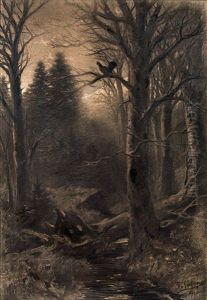 Waldlandschaft Mit Auerhahn
