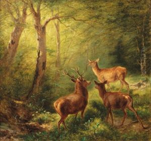 Rotwild In Sonniger Waldlichtung by Franz Xaver von Pausinger