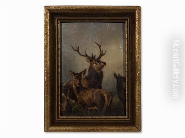 Deer, Hind And Calf - view 1