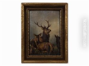 Deer, Hind And Calf
