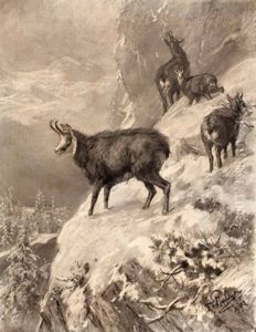 Gamsen Im Hochgebirge by Franz Xaver von Pausinger