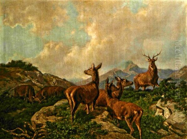 Hirsche Und Rehe Im Gebirge - view 1