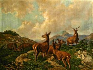Hirsche Und Rehe Im Gebirge by Franz Xaver von Pausinger