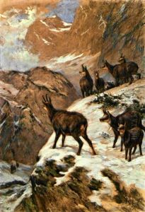Gemsen Im Gebirge by Franz Xaver von Pausinger