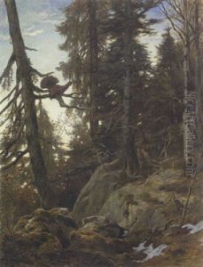 Auerhahn-balz