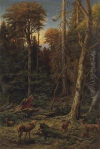 Rotwild In Der Dammerung