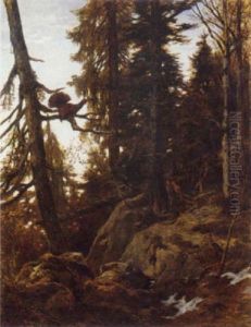 A Heath Cock Roosting In An Alpine Forest