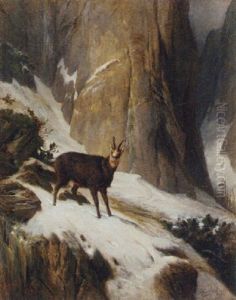 Chamois In A Mountain Landscape
