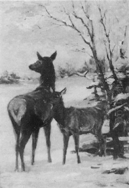 Deer In A Landscape - view 1