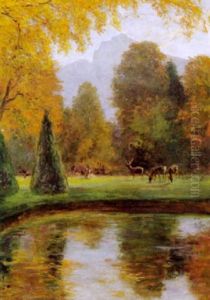 Rotwild Am Weiher