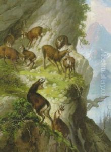 Gamsrudel Auf Felsvorsprung Mit Raubvogel