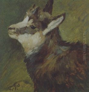 Kopf Einer Gemse by Franz Xaver von Pausinger
