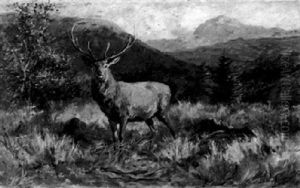 Hirsch Im Gebirge by Franz Xaver von Pausinger