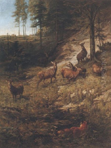 Hirsche Und Fuchs Am Waldhang - view 1