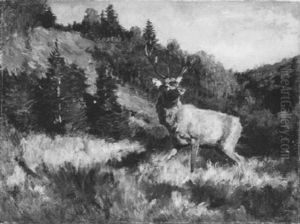 Junger Hirsch
