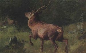 Hirschbrunft