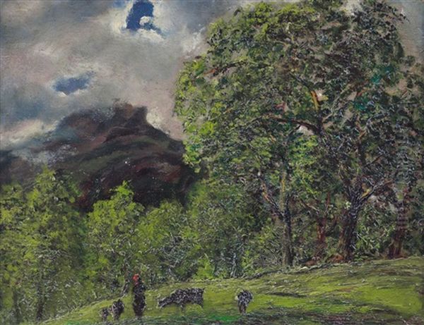 Nei Boschi Di Valdier - view 1