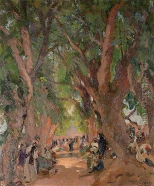 Grands Arbres Au Souk - view 1