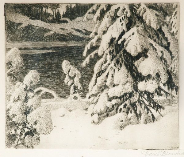 Winter Landscape - view 1