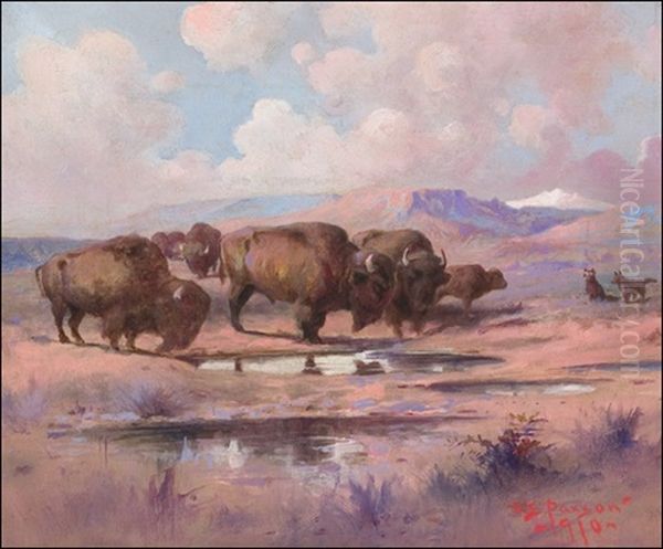Buffalo Watch - view 1