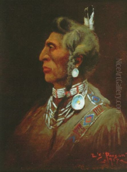 Medicine Crow - view 1