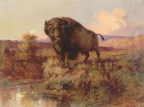 Lone Buffalo - view 1