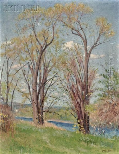 Spring By The River - view 1