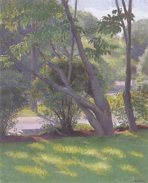 Lawn At Newton - view 1