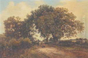 Sommerlandschaft