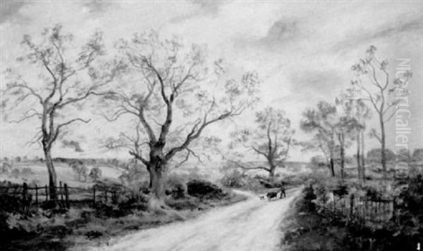 Near Stratford On Avon - view 1