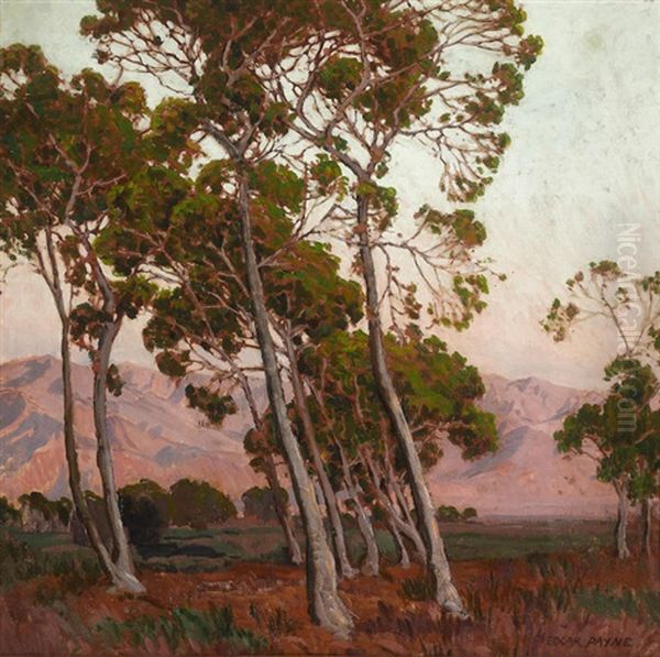 Trees Along The Foothills - view 1