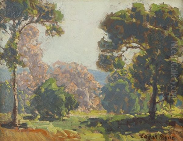 Spring Landscape With Trees - view 1