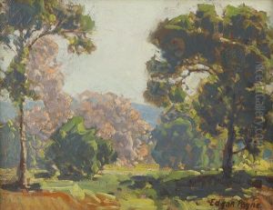 Spring Landscape With Trees