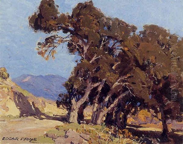 A Group Of Trees On A California Hillside - view 1