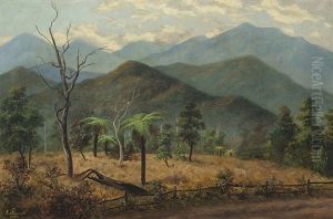 Dandenongs by George Edwards Peacock