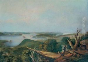 View Of The Heads Of Port Jackson, New South Wales, From Above Vaucluse Bay
