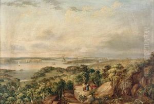 View Of The Heads Of Port Jackson, New South Wales, From Above Vaucluse Bay