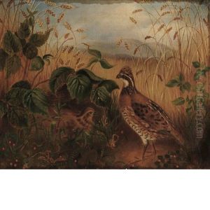 Grouse In Wheatfield by Mary Jane Peale