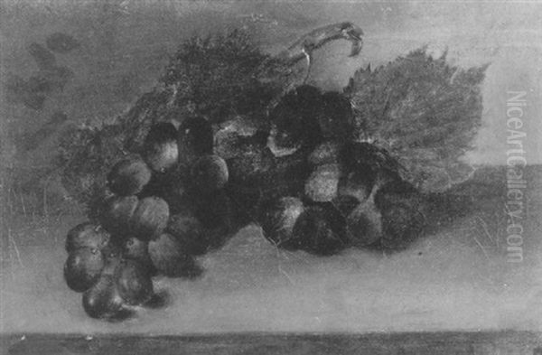 Grapes - view 1